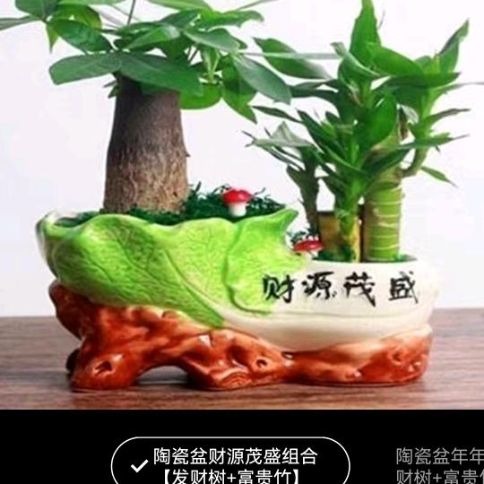雪中送炭