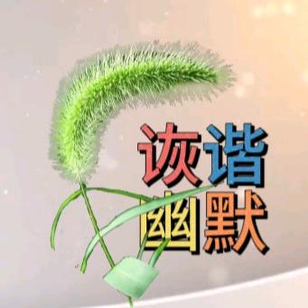 岁月故事