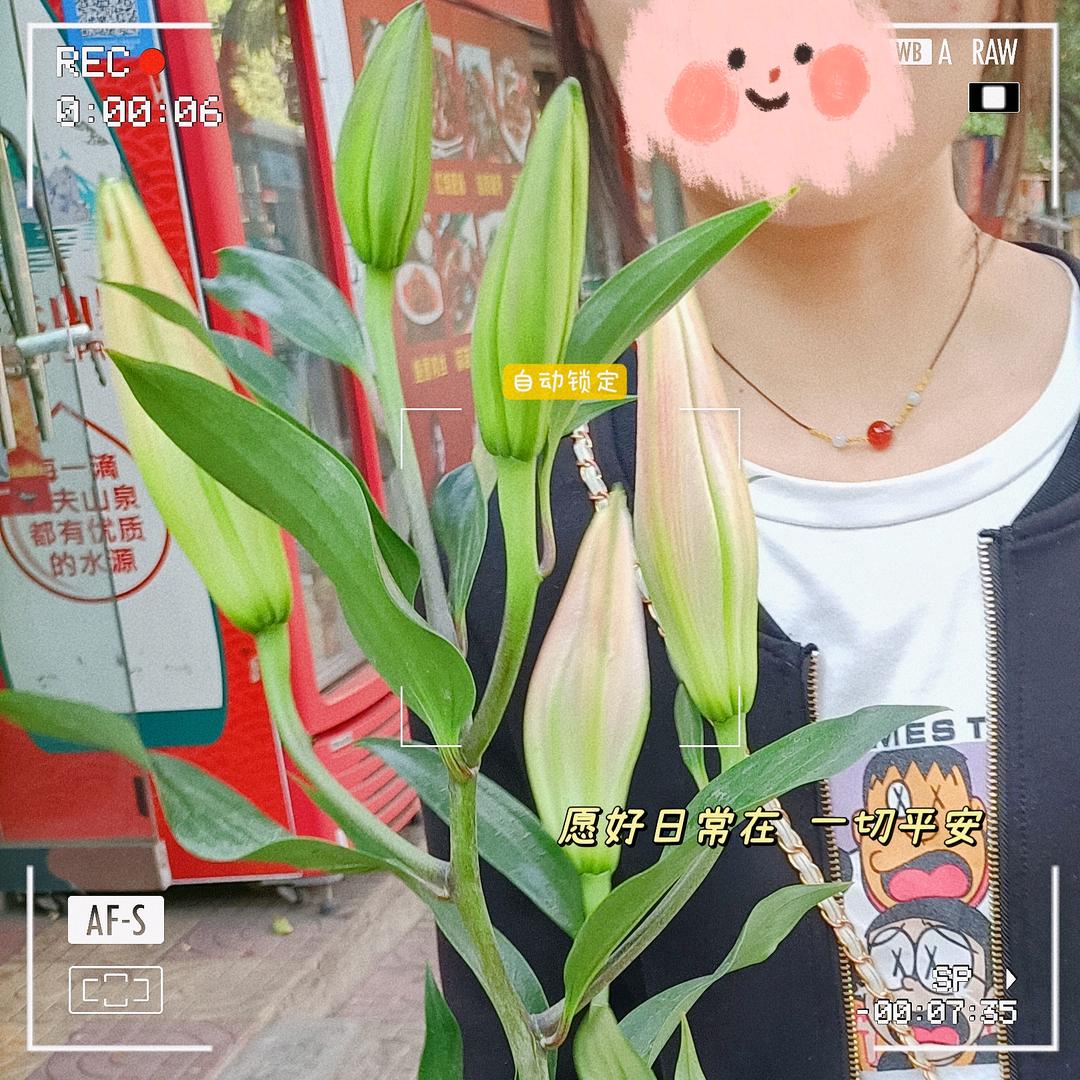 姝浔