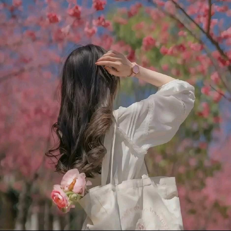 糖心