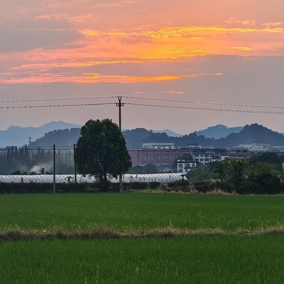 衣周期