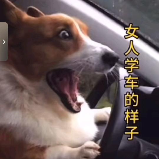💞念᭄Nǐএ᭄成ꦿ 瘾💔 ོ
