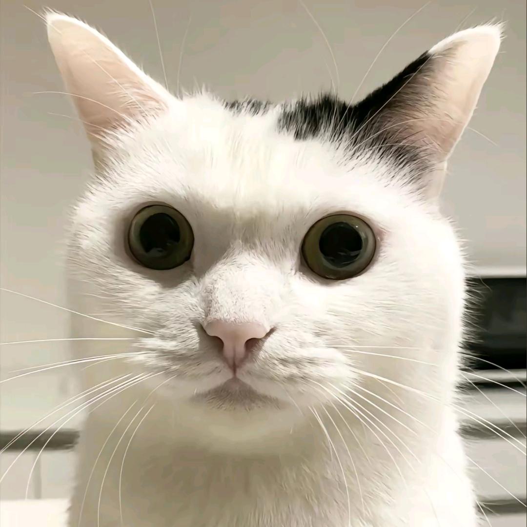 姜🐟儿