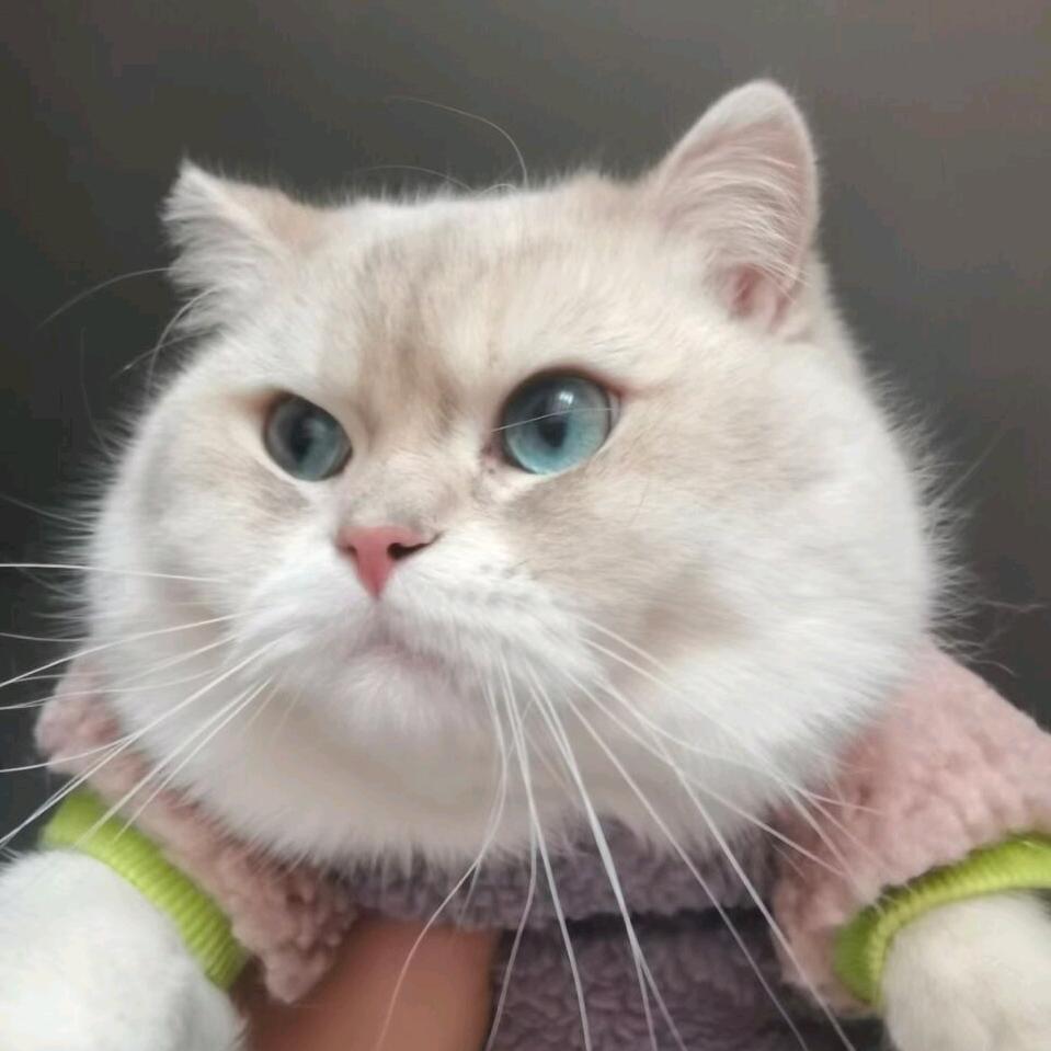 糟老头子和六福