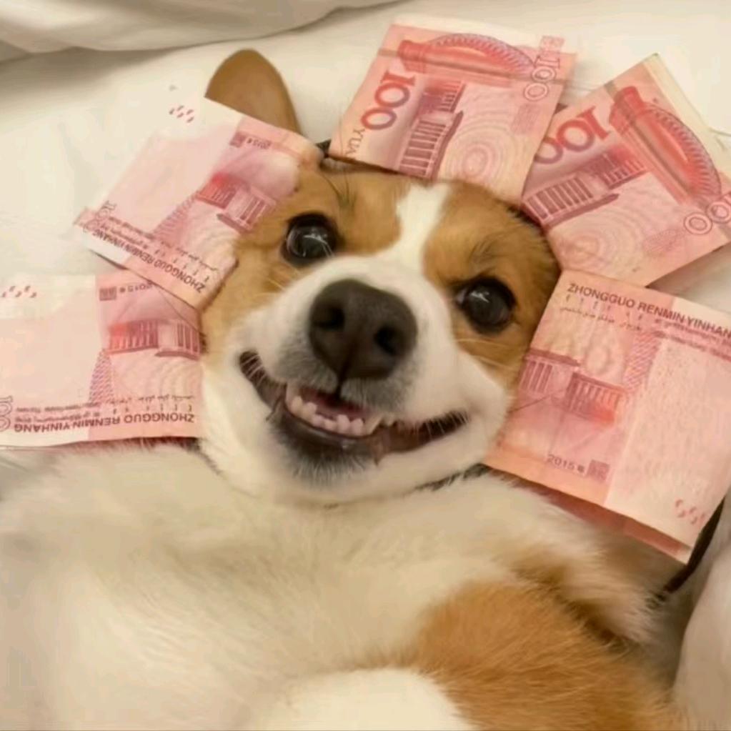 纯恨战士