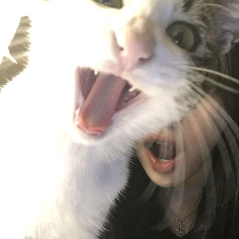 瑤