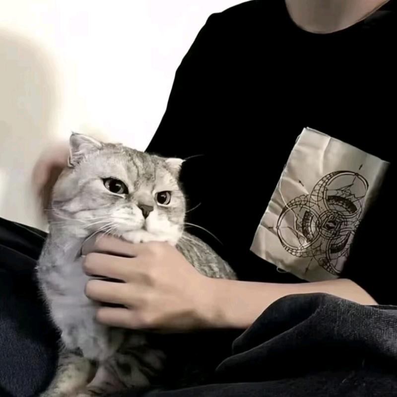巴黎的防