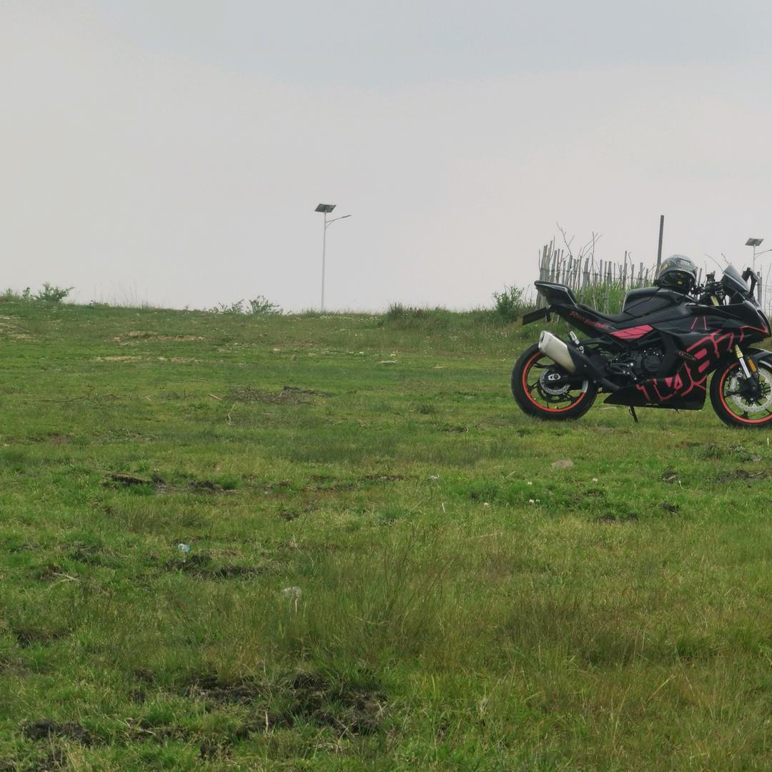 晚夜微雨问海棠