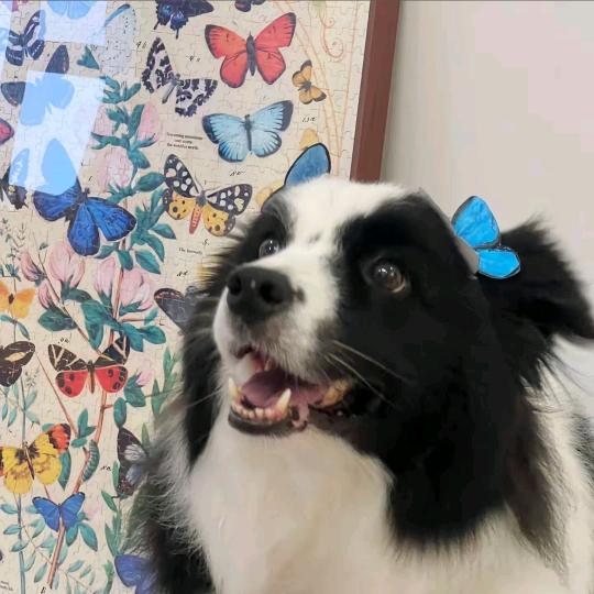 ❤️🧡💛💚💙🖤