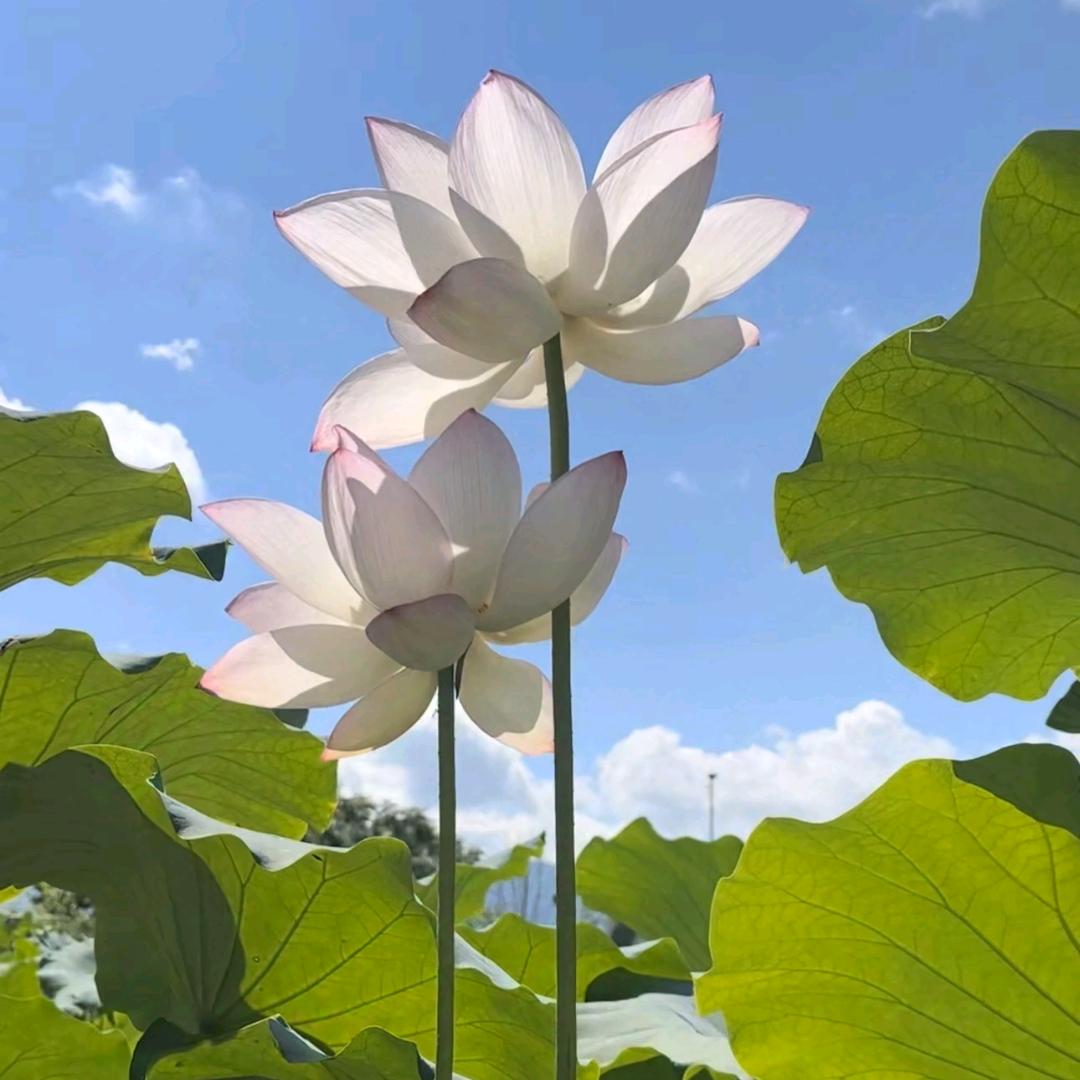 上善若水，厚德载物