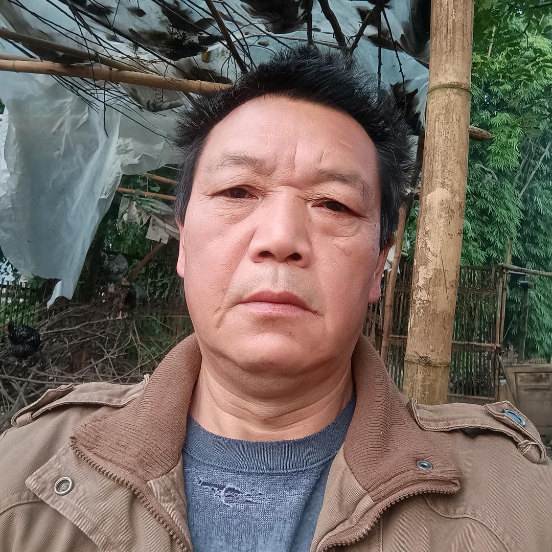 刘二自媒体