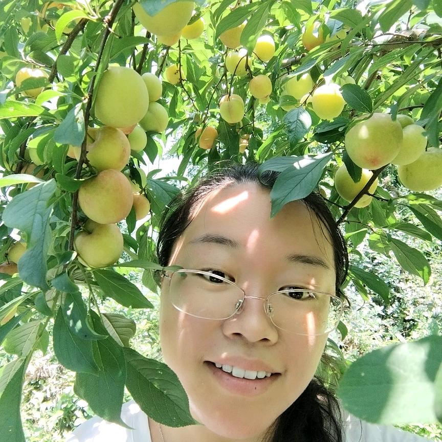 恩施市青优水果园