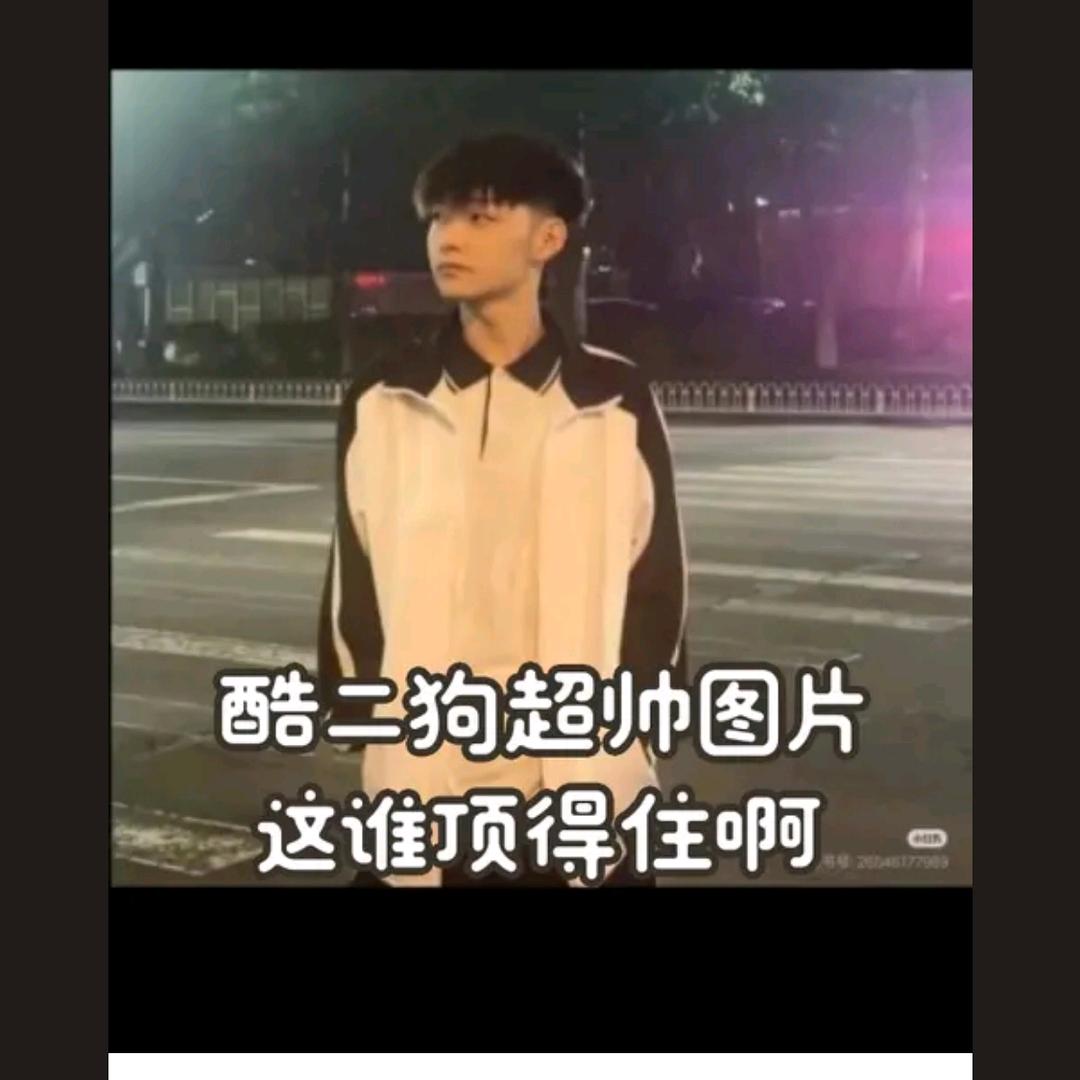 酷二狗g