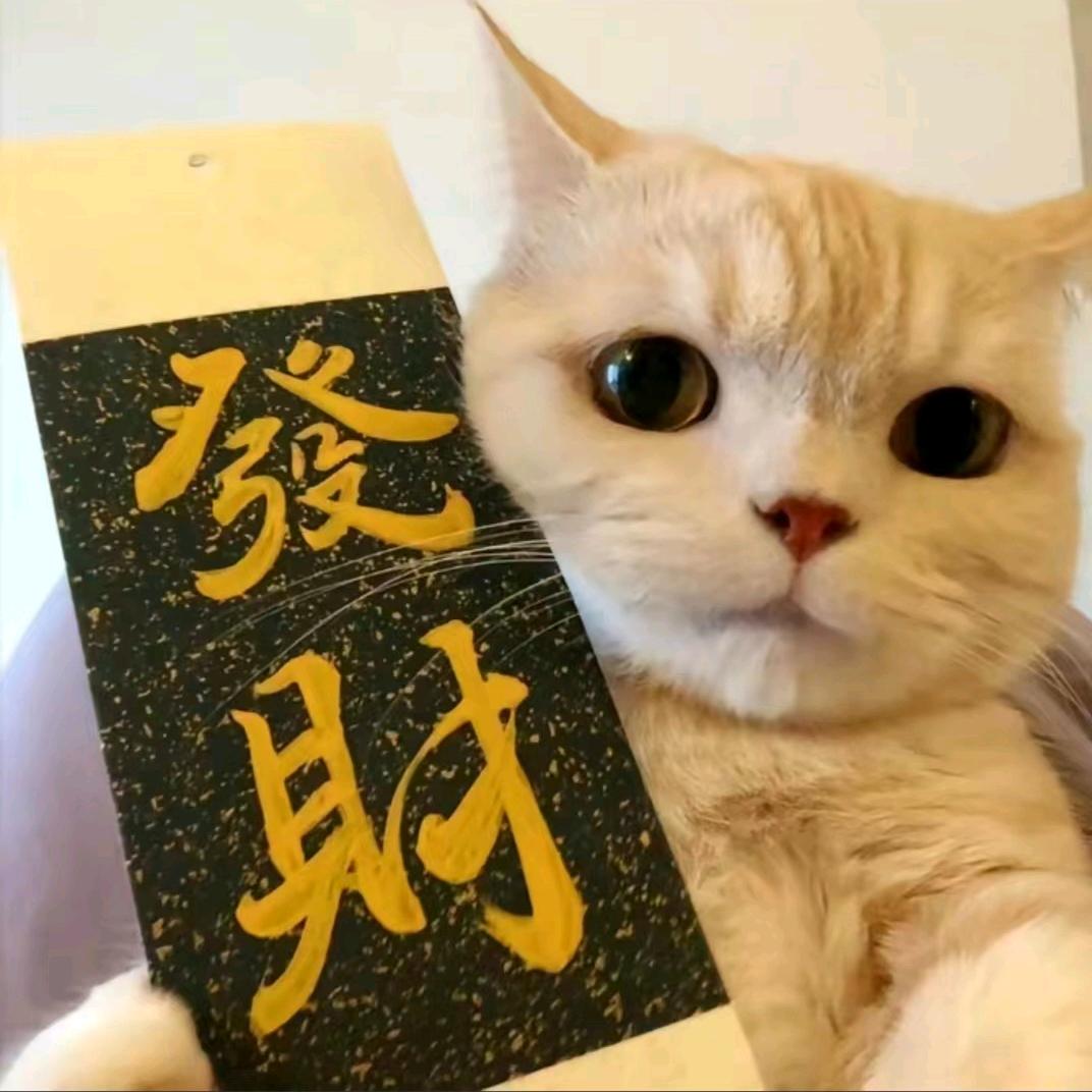 邹老大