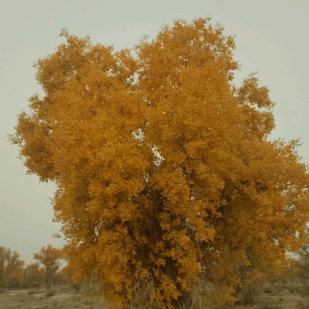 এº᭄一薪💞一亿༊ ړ`