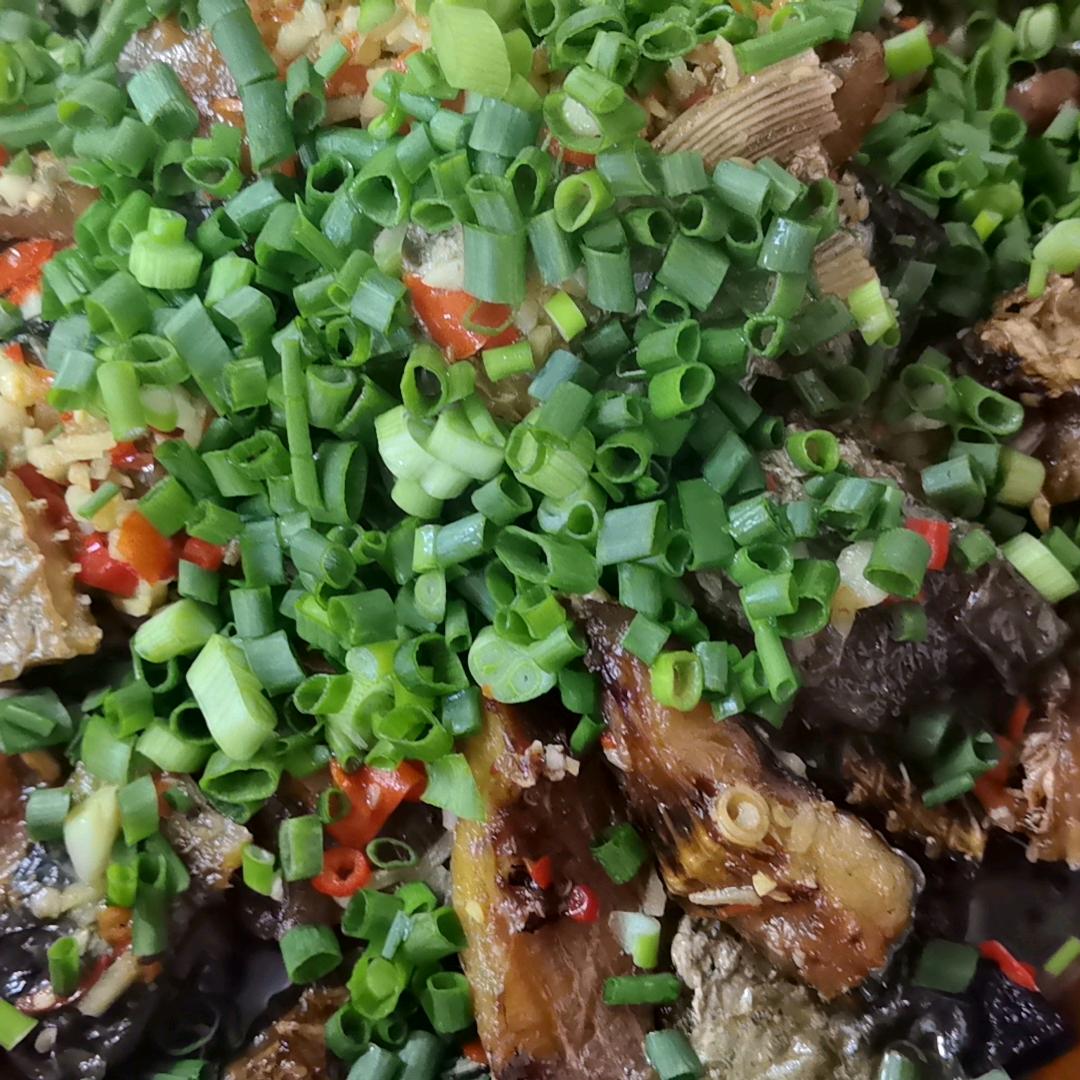 我问青山何时老，青山问我几时闲