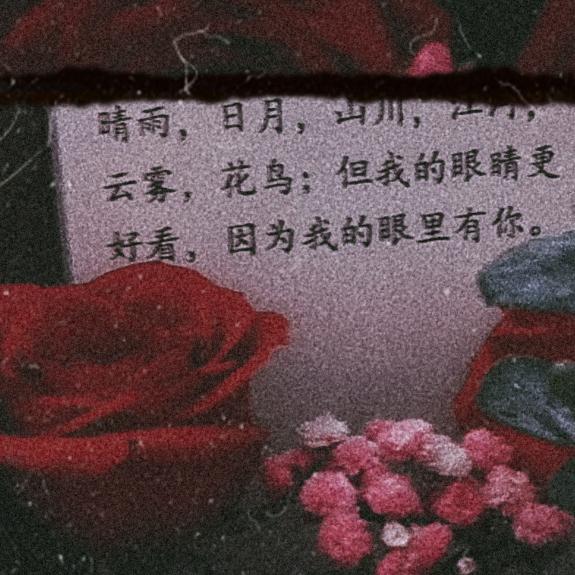 橙子叭叭（外耗版）