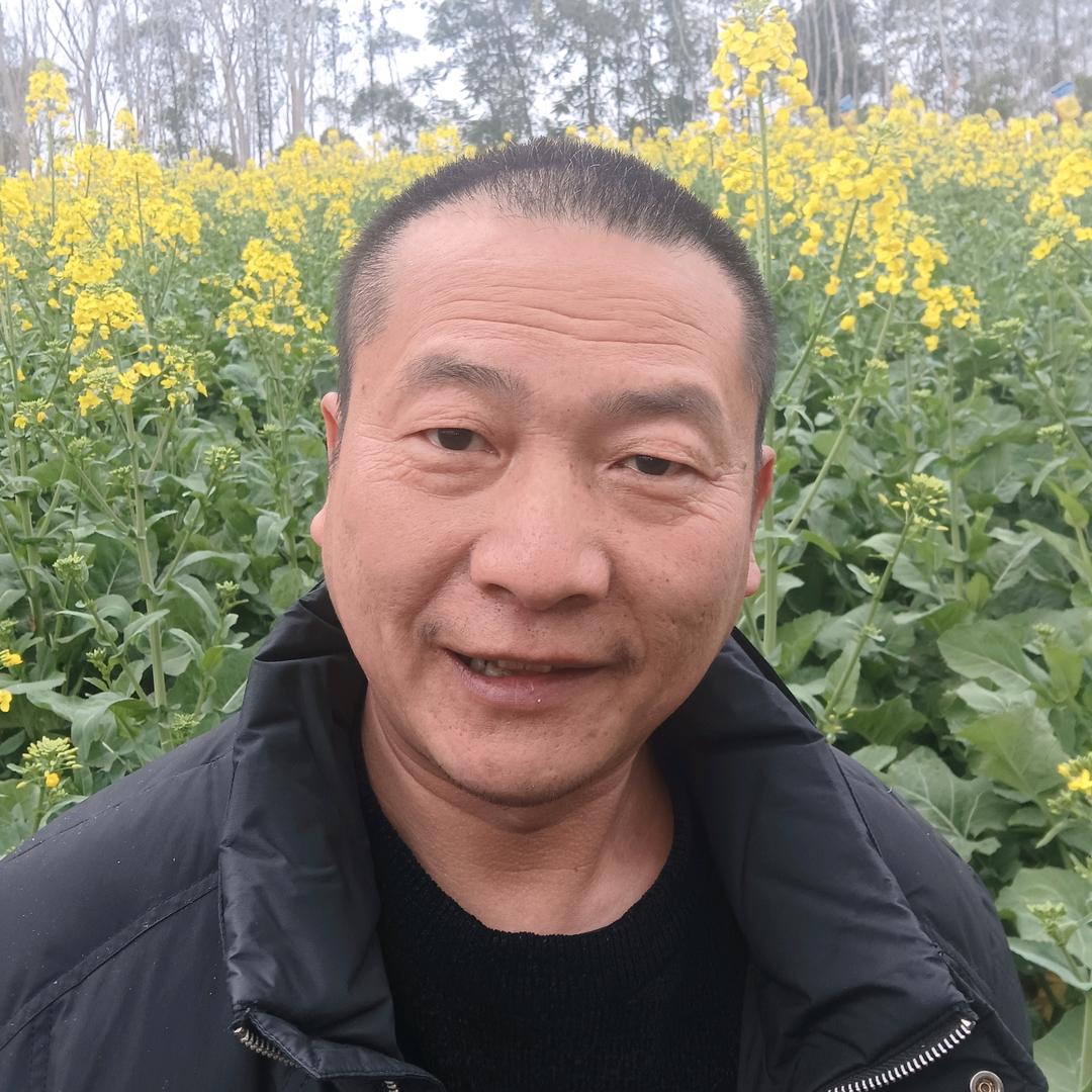 眉山瓜娃子