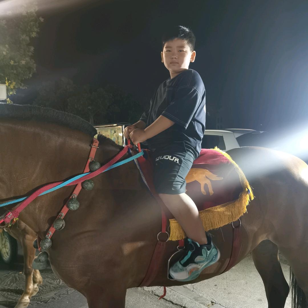 悠悠寸草心