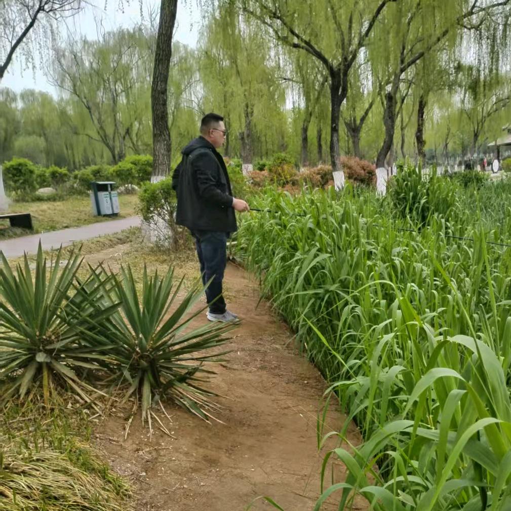 虎哥有点胖_