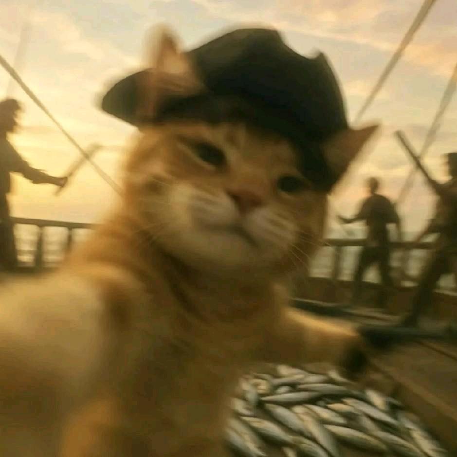 小猫船长