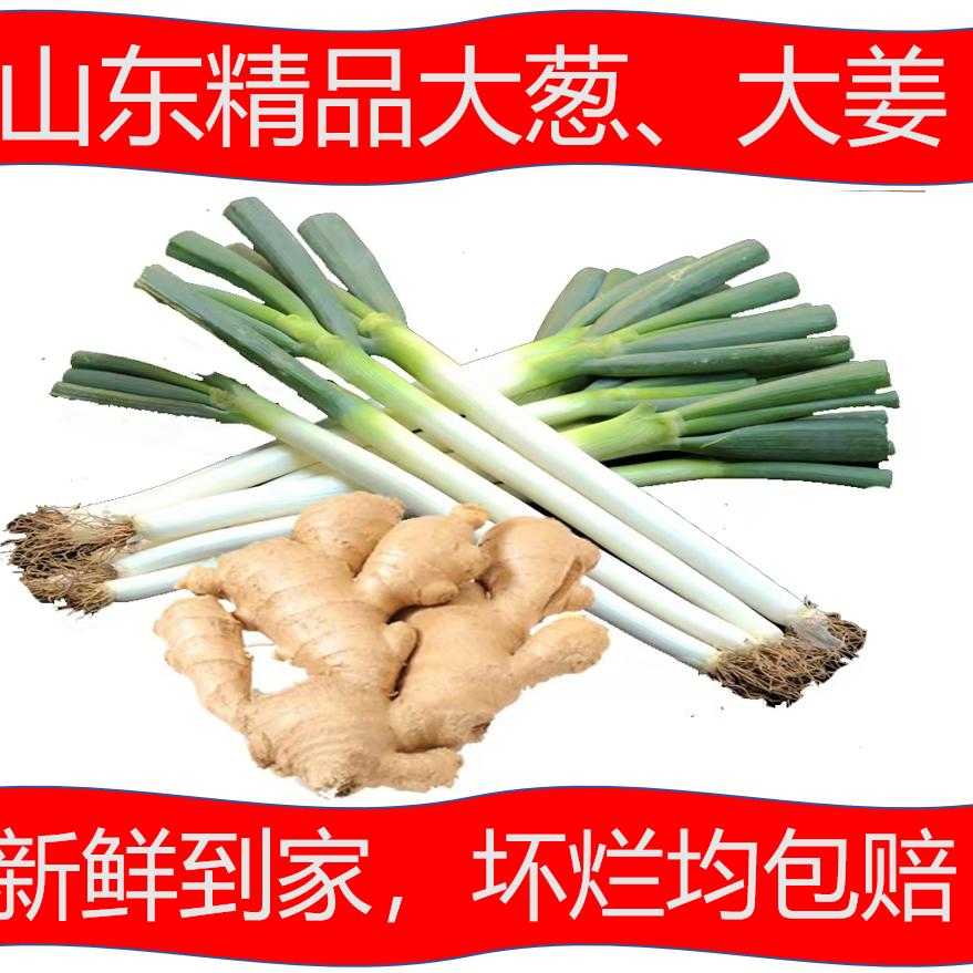 瑞建商贸中心