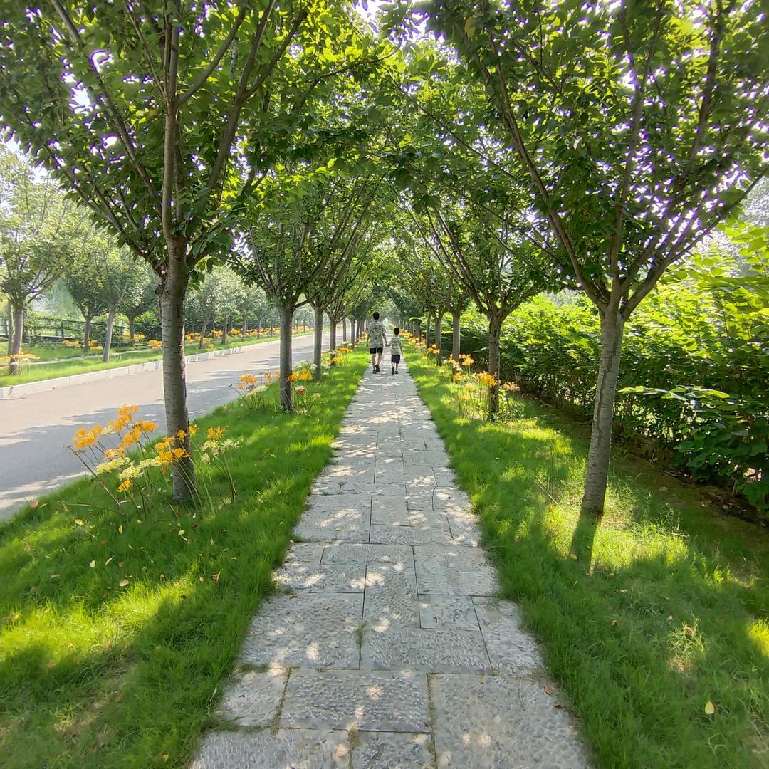 高兴^^头像