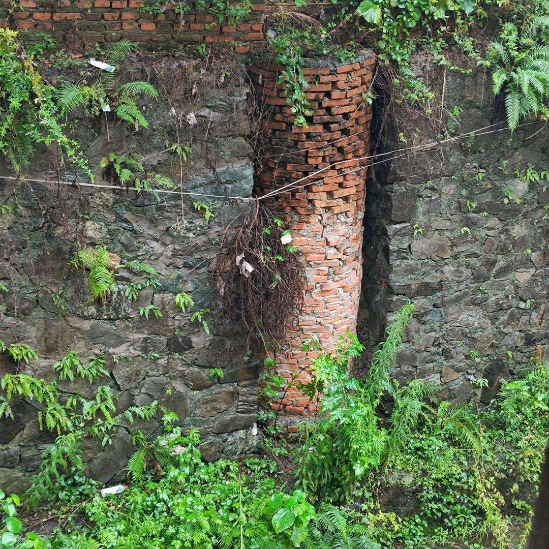 十年乱斗终有成