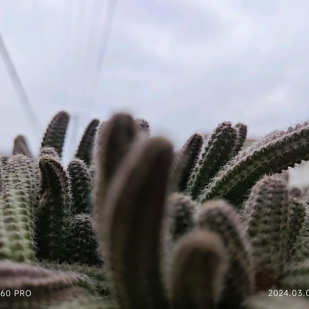 不会装宽带的，小李