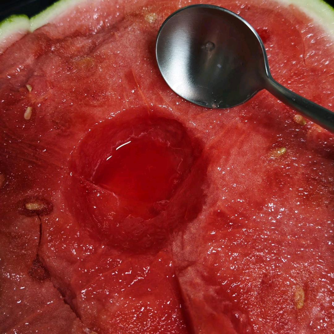 爱吃章鱼的乐宝