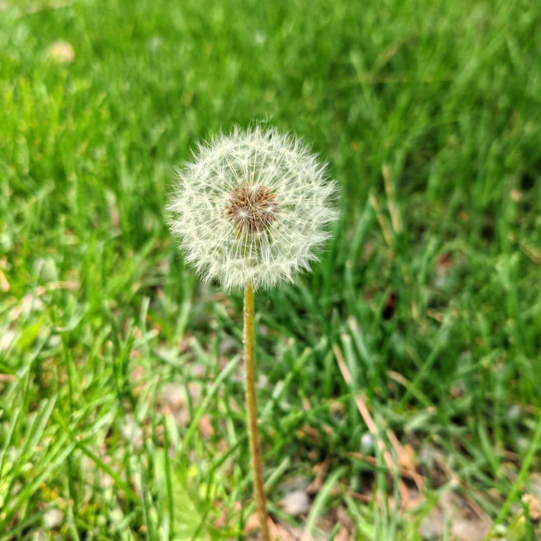 ℒᎭℯ ☪꯭郭💘᭄