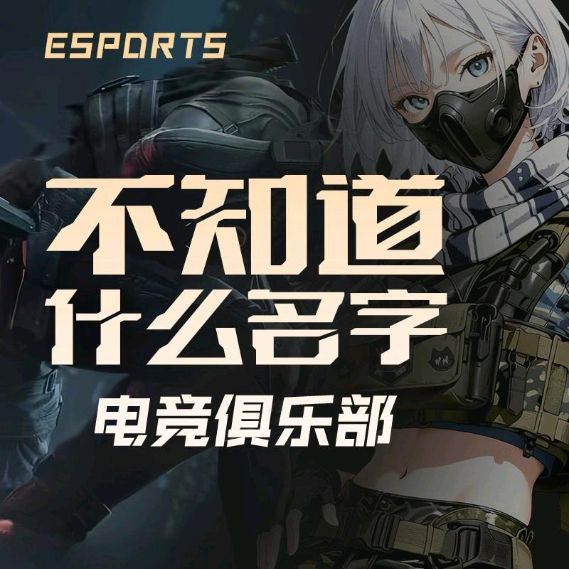 HL电竞（三角洲行动）