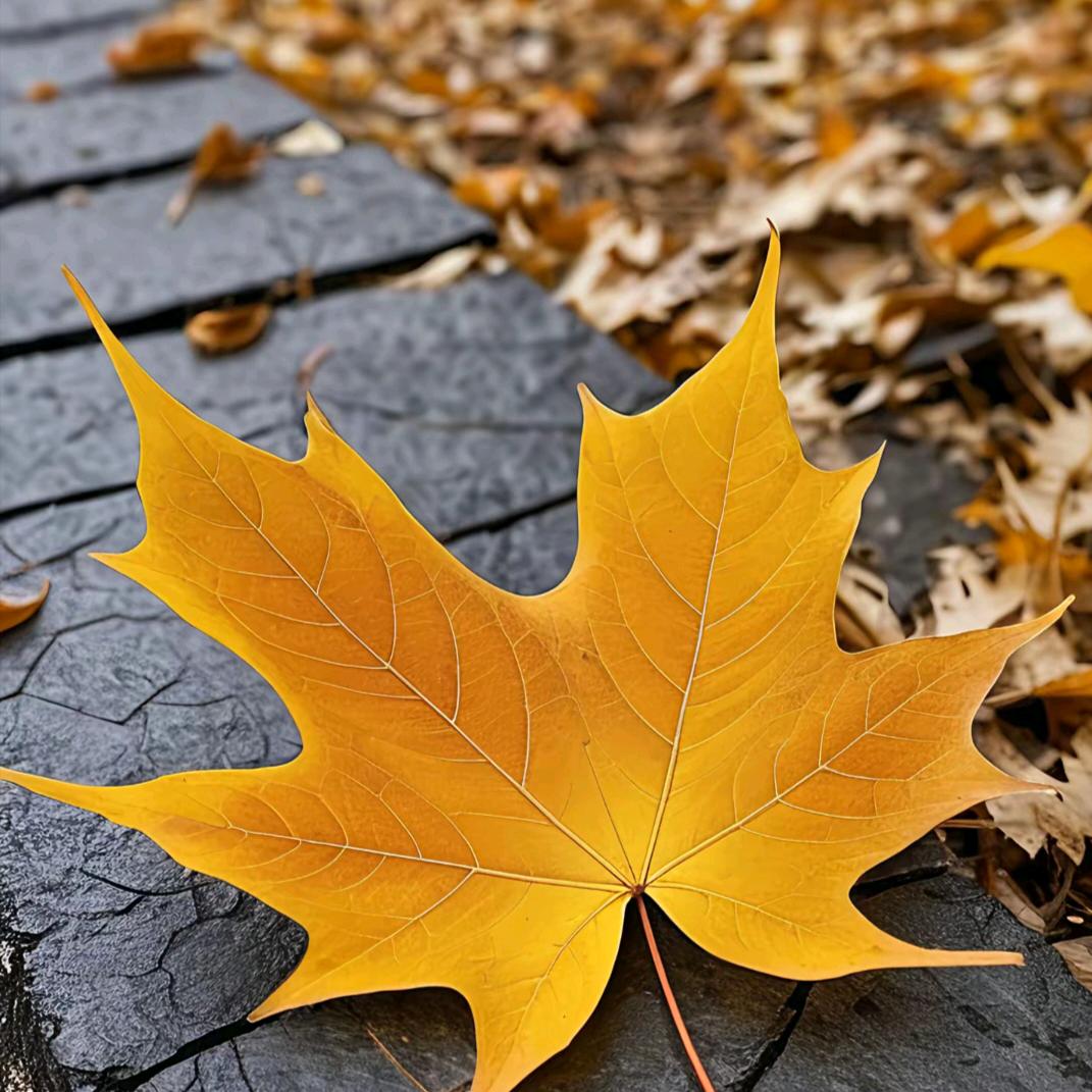 年底大清出啦！！！