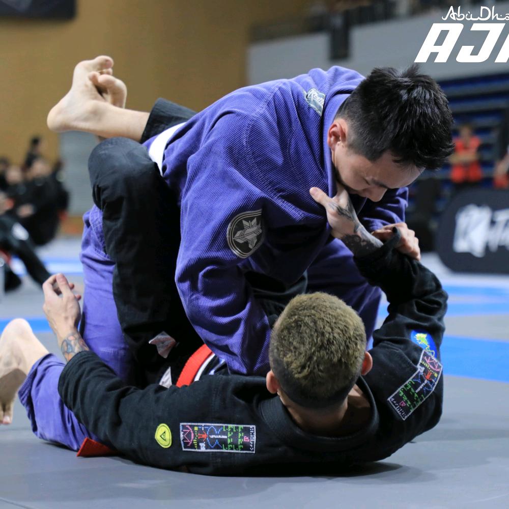 不会柔术的康康