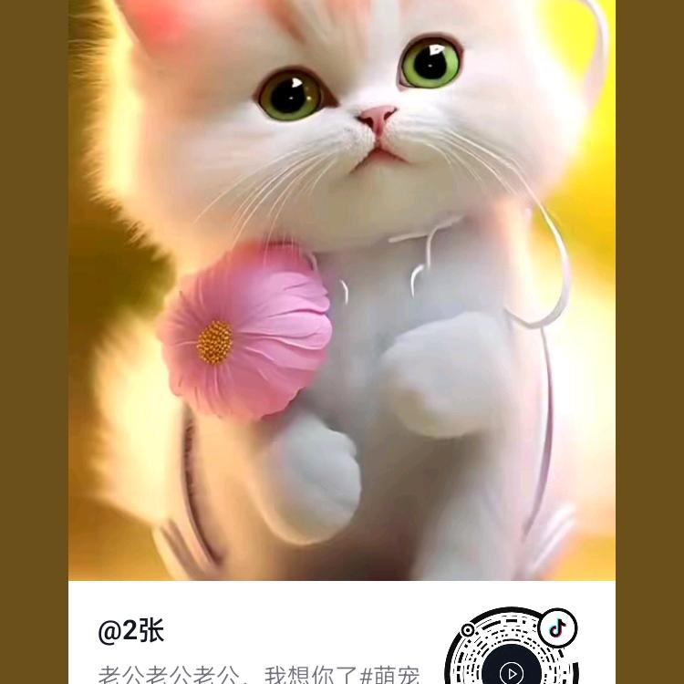 流泪的我没人心疼