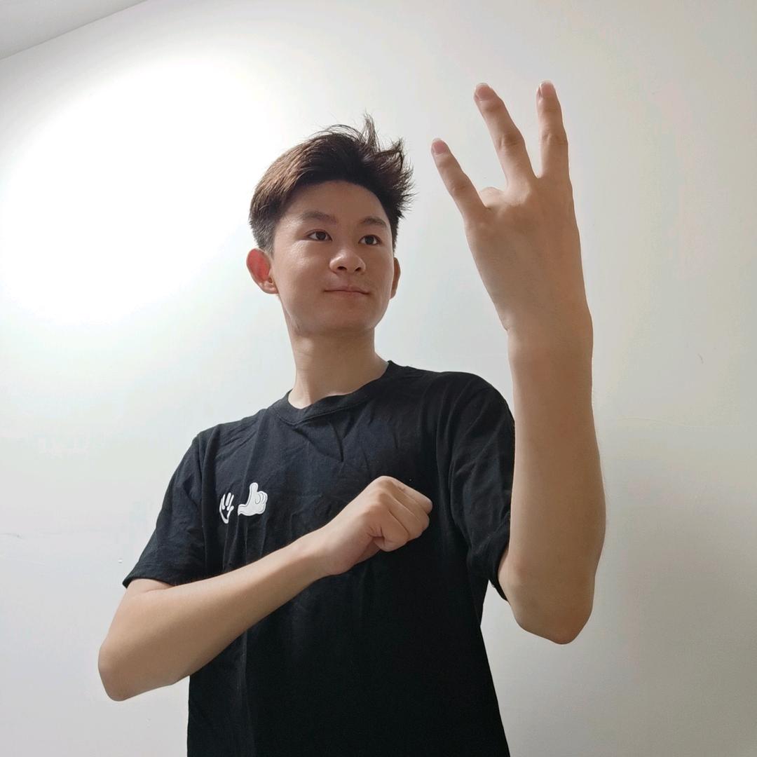 超燃手语