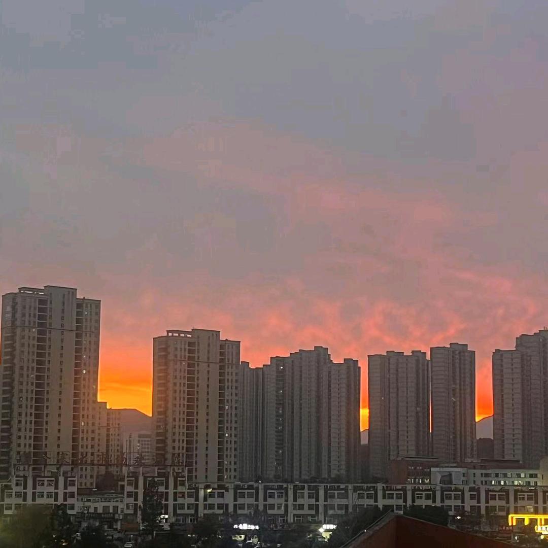 金寨在线