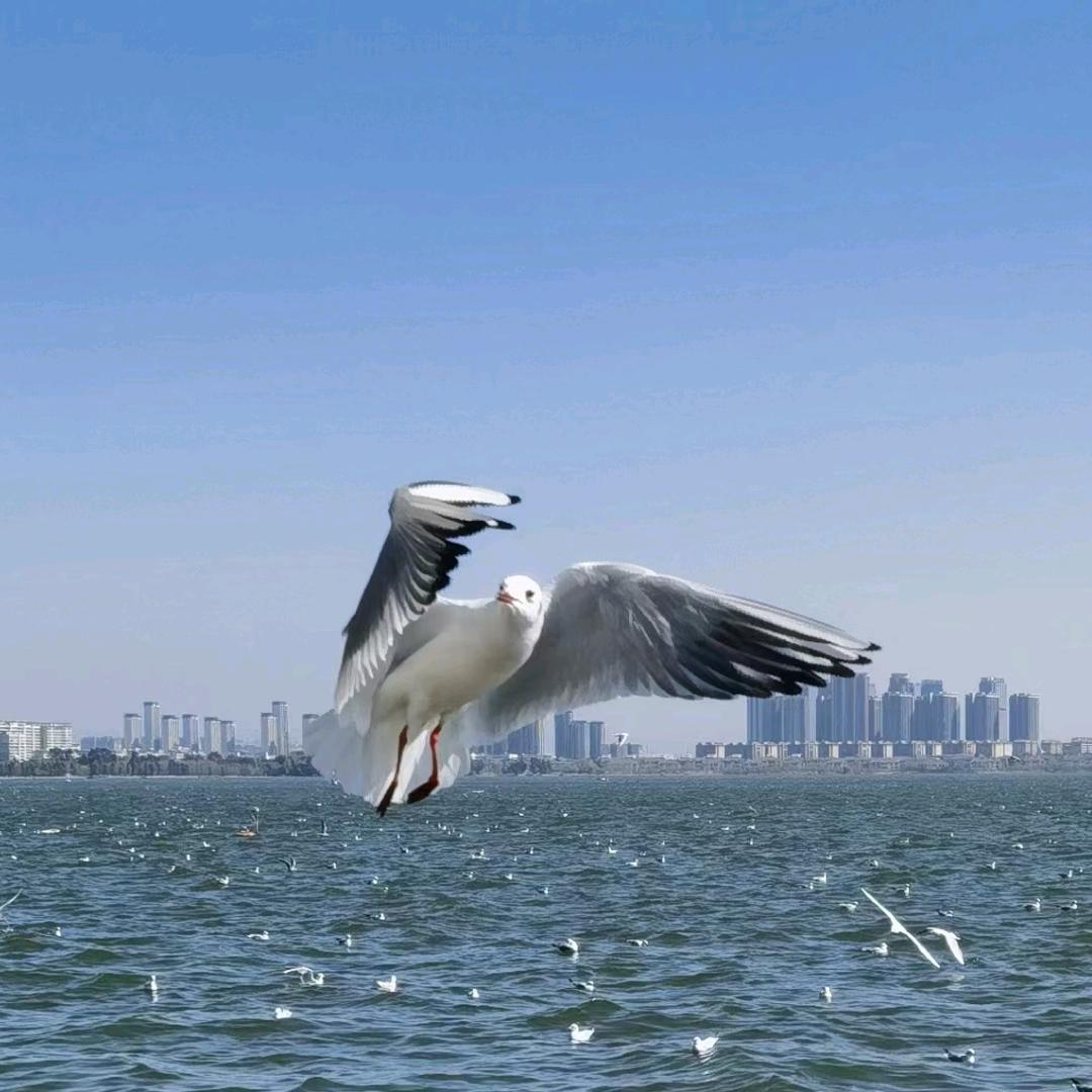 海阔天空一路蓝