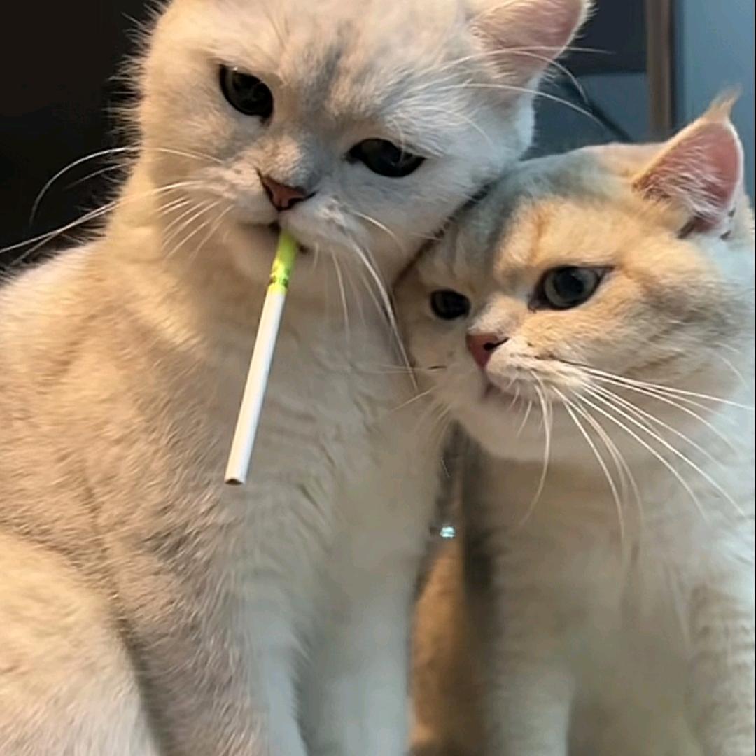 ~~
