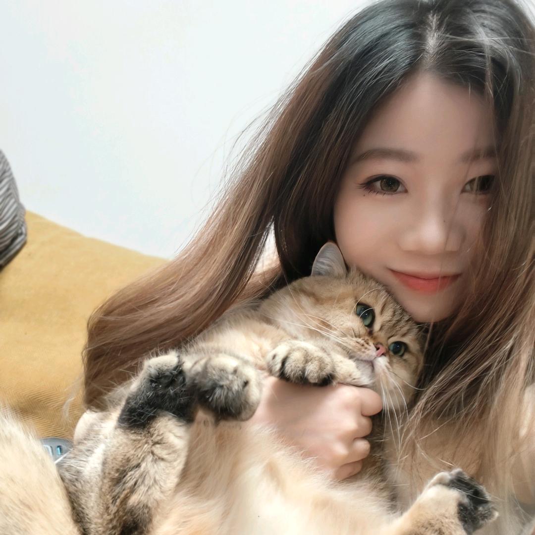 裂缝中的KK