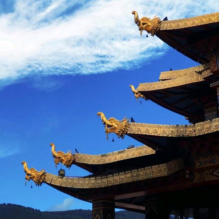 沈霁川