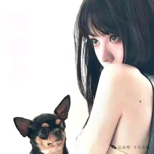 暮诗