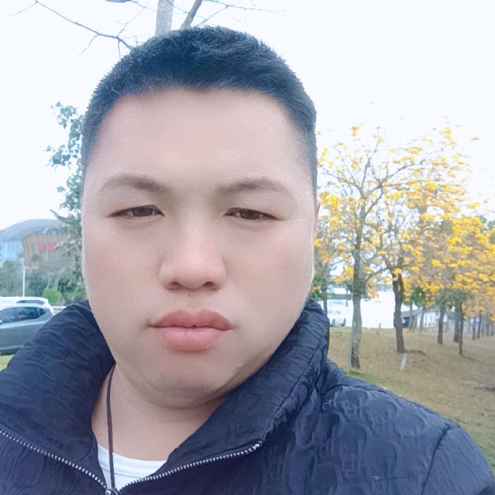 东山再起小熊