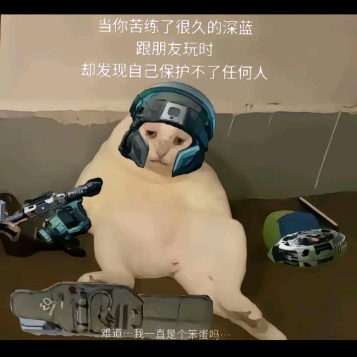 鼠鼠🐀🐁（三角洲行动）