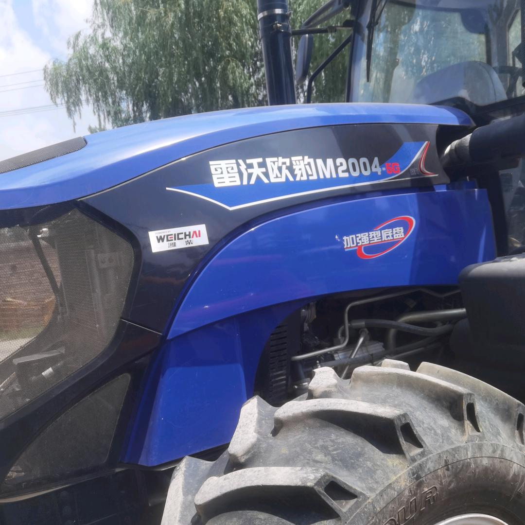 专业挖地下根茎药材