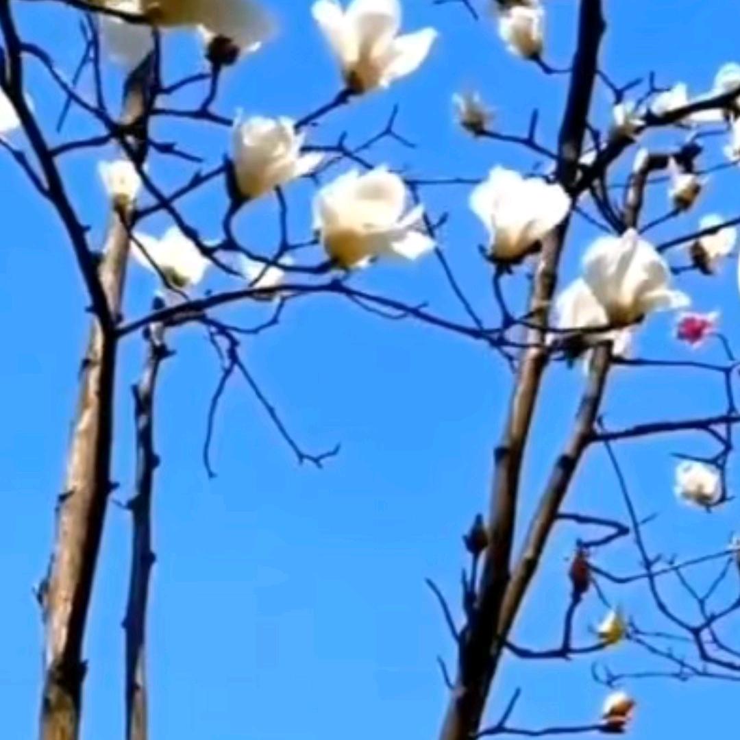 跟进数字时代走