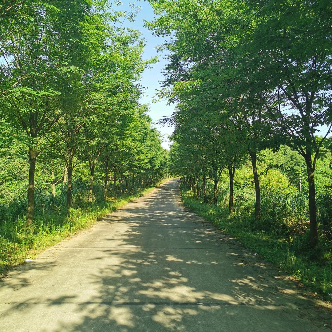 探索荒野