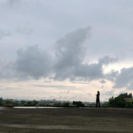 不是很想吃香菜ι