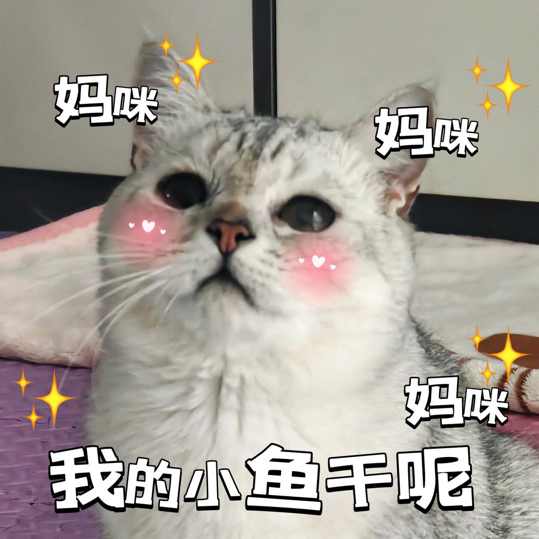 如梦影