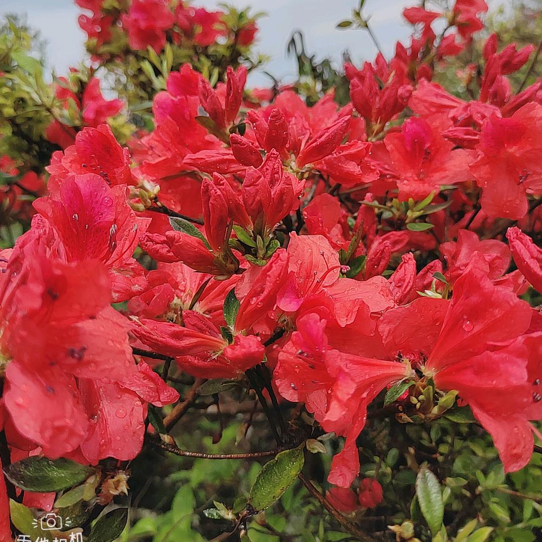 万事如意🌞😀